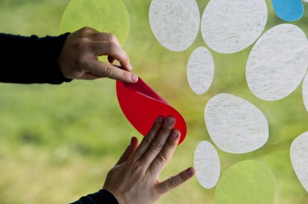 Gecko Hafttextilie: Hand die ein Ausschnitt ans Glas klebt
