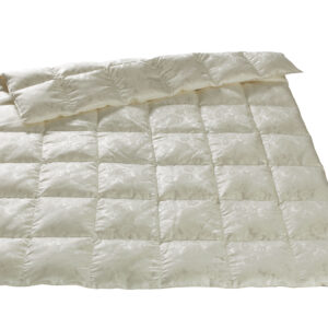 Dorbena Ganzjahres Duvet OXALIS 160 x 210 Eiderdaunen
