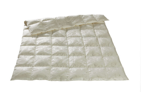Dorbena Ganzjahres Duvet OXALIS 160 x 210 Eiderdaunen