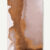Chestnut